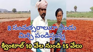 Dry chilly farming in telugu- 8 సంత్సరాలుగా ఎండు మిర్చి పండిస్తున్న బాతుకం మల్లయ్య- ఎండు మిర్చి