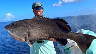 GIANT Rusty Belly Gag Grouper Caught During an Insane Bite!!