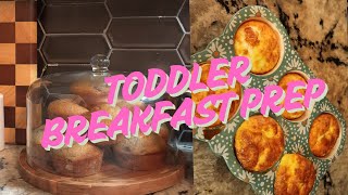 Weekly Toddler Meal Prep: Grab \u0026 Go Breakfast Ideas