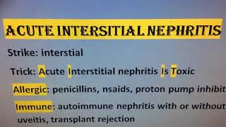 Acute Interstitial Nephritis | Causes | Medicine