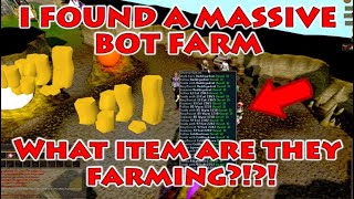 I FOUND A MASSIVE RS3 BOT FARM