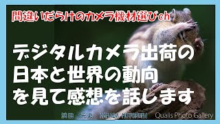 間違いだらけのカメラ機材選びch 「デジタルカメラ出荷の日本と世界の動向を見て感想を話します」