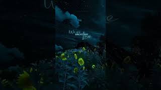 Alan Walker - Faded x Darkside  Remix Lyrical Video #alanwalker #faded #darkside #lyrics