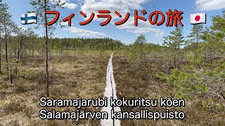 Salamajärvi National Park in Finland. フィンランドの旅 / Journey in Finland #finland #nationalpark