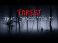 3 True Deep Forest at Night Horror Stories