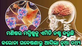 ମଣିଷର ମସ୍ତିଷ୍କକୁ ଏମିତି ନଷ୍ଟ କରିଥାଏ କରୋନା ଭାଇରସ୍, ସାମ୍ନାକୁ ଆସିଲା ଏହି ଚାଞ୍ଚଲ୍ଯକର ତଥ୍ଯ