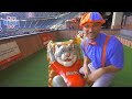 Blippi's Home Run Hit Exploring a Baseball Stadium Adventure!  Educational Videos for Kids