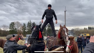 Коні Ваговози.Коні в Печеніжині.Першерон в Україні.Гарнй Початок Змагань🔥🔥🔥🐴🐴🐴