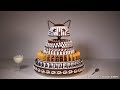 Gâteau Gato ( Gâteau CHAT ) - Alexandre DUBOSC