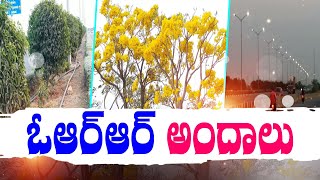 Hyderabad Outer Ring Road | Green Plants, Flowers, Electric Lights Attract