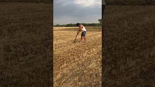 Khet pad kai choduga bhai #rahuldhandlaniya #viral #farmer #shrots #viralvideo #jaat #trend