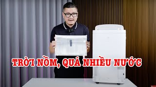 Thêm lựa chọn máy hút ẩm Electrolux rất xịn cho mùa nồm!