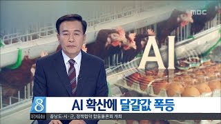 [대전MBC뉴스]AI 확산에 달걀값 폭등