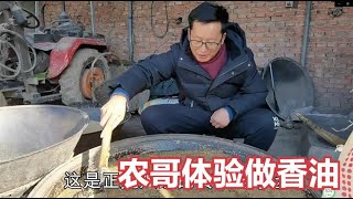 农家做香油传统老手艺，农哥亲自上手体验，看香油咋做出来