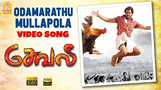 Odamarathu Mullapola - HD Video Song | Seval | Bharath | Poonam B | Hari | GV Prakash Kumar