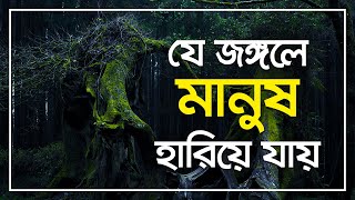 বিশ্বের সবচেয়ে ভয়ংকর জঙ্গল - MOST TERRIBLE FOREST IN THE WORLD 2022 - Amaze History