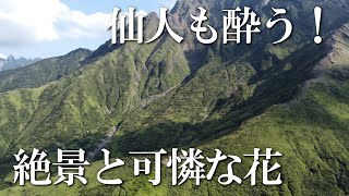 [Kumamoto] Sensui Gorge Edition (Vol.122) / Colony of \