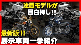 【大注目！】試乗車も盛り沢山！展示車両を大公開！【ハーレー】