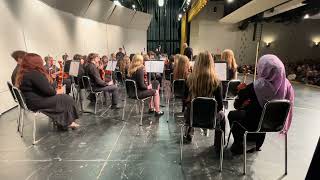 Maumee Orchestra at Toledo Area String Arts Festival 2024