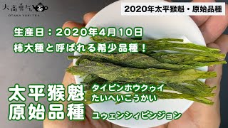 【2020年新茶】味わい深い旨味をしっかりと堪能出来る希少品種の太平猴魁・原始品種！【中国上海・中国茶専門店】中国茶紹介編-023