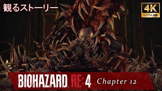 🎞15 【観るストーリー】 バイオハザード RE:4 日本語音声