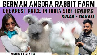 German Angora Rabbit Farm Kullu Manali | House Tour | Price | Giant Rabbit | Vlogs EP 12 | Kausty