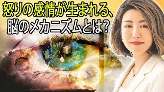 中野信子 ✨ 怒りの感情が生まれる、脳のメカニズムとは？  ⭐ 脳科学者; 認知神経科学