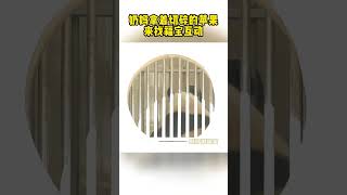 早上10：40奶妈手拿苹果和福宝互动。#大熊猫福宝 #panda #旺仔说动物