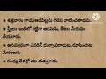 శుక్రవారం నాడు పాటించవలసిన వీధి విధానాలు.. జీవిత సత్యాలు.. ధర్మ సందేహాలు