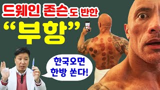 분노의질주 드웨인존슨도 반한 K -한방의 자랑 \