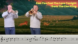 Can You Feel The Love Tonight (Trumpet Cover)