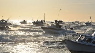 Salmon downrigger strikes compilation, Trolling Master Bornholm.