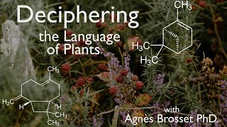 Deciphering the language of plants