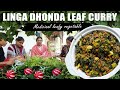 లింగ దొండ ఆకు కూర/Medicinal leafy vegetable/ lolipop climber/ Live village life