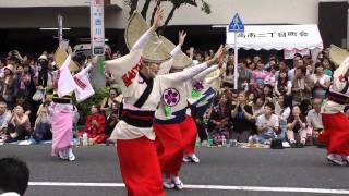 2011高円寺阿波おどり⑧　江戸っ子連