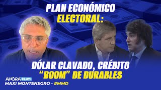 PLAN ECONÓMICO ELECTORAL: DÓLAR CLAVADO, CRÉDITO, \