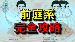 【リハビリ】臨床現場で役立つ知識！前庭系とは何かを解説します！【理学療法士スキルアップセミナー】