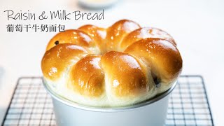 Soft and Fluffy Raisin \u0026 Milk Bread   葡萄干牛奶面包  超軟拉絲 | LHC