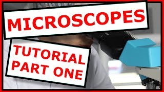 Step-by-Step Guide to use a Microscope like a Pro with Dr. O'Neill