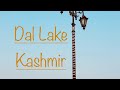 Dal Lake | Srinagar | Kashmir | Kishtwariyat | Trending Yt Short #shortvideo #ytshorts #kashmir