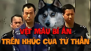 TRỌNG ÁN TRUNG QUỐC| Vệt Máu Khô Trên Khúc Cua Tay Áo, Cảnh Khuyển Thông Minh Tìm Ra Nghi Phạm