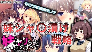 【ボイロ解説】きりたんと見るエロゲ【妹とヤリたいことのすべて】