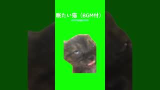 猫ミームNo.068：眠たい猫（BGM付） #猫ミーム #猫 #TikTok #CapCut #catmeme