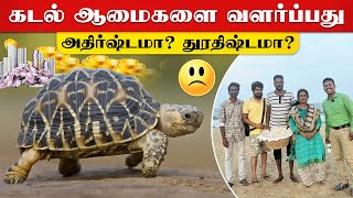 கடல் ஆமை பாதுகாப்பதன் அவசியம் என்ன ? || Sea Turtle || Dr. Supraja Dharini || Tree foundation