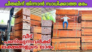 ചിതലിന് തിന്നാൻ സാധിക്കാത്ത മരം കേരളത്തിൽ എത്തിച്ച ഗംഭീര കമ്പനി😍 | wood | fz rover | malayalam