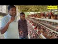 ১০০০ লেয়ার মুরগি পালনে a to z হিসাব layer murgi farm bangla 1000 poultry farm investment