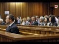 Oscar Pistorius Fired Gun In Public Twice - Day Seven Of Trial