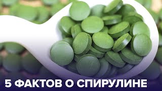 Суперфуд для космонавтов: кому полезна СПИРУЛИНА?