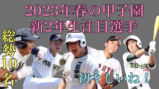 2023年春の甲子園注目新2年生【総勢10名】