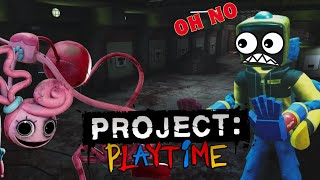 Project Playtime - Part 25